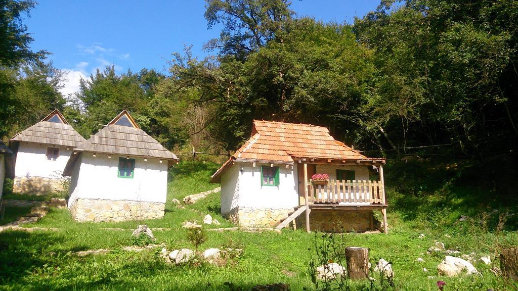 فندق Camp Divlja Rijeka Hum المظهر الخارجي الصورة